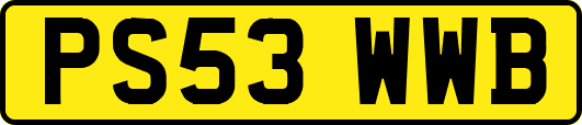 PS53WWB
