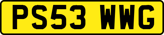 PS53WWG