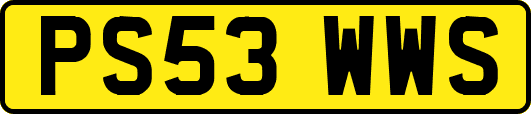 PS53WWS