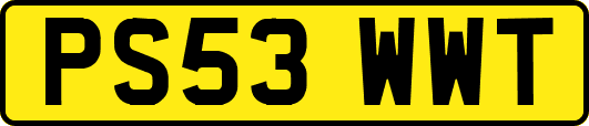 PS53WWT