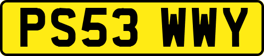 PS53WWY