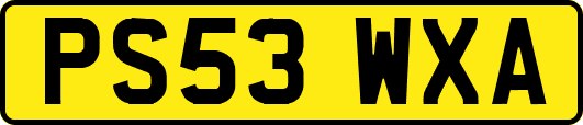 PS53WXA