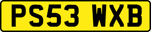 PS53WXB