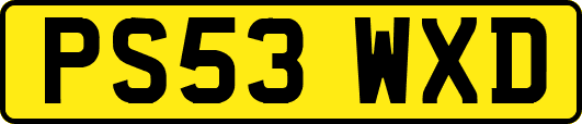 PS53WXD