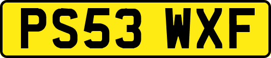 PS53WXF