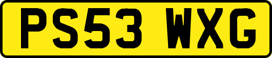PS53WXG