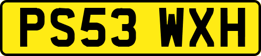 PS53WXH