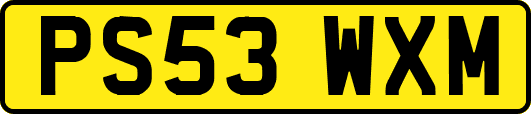 PS53WXM