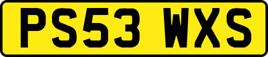PS53WXS