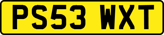 PS53WXT