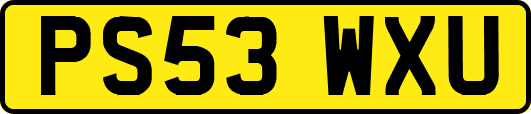 PS53WXU