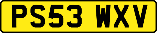 PS53WXV