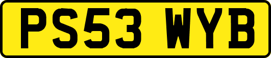PS53WYB
