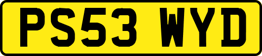 PS53WYD