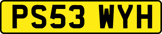 PS53WYH