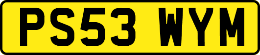 PS53WYM