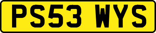 PS53WYS
