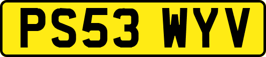PS53WYV