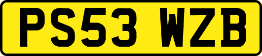PS53WZB