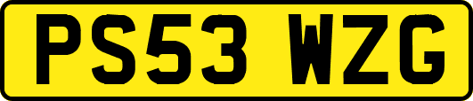 PS53WZG