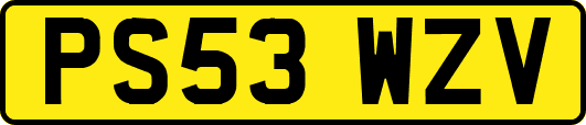 PS53WZV