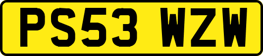 PS53WZW
