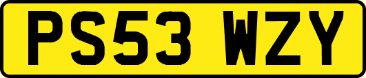 PS53WZY