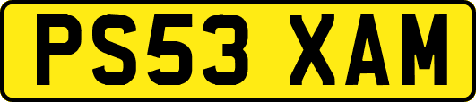 PS53XAM