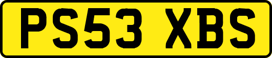 PS53XBS