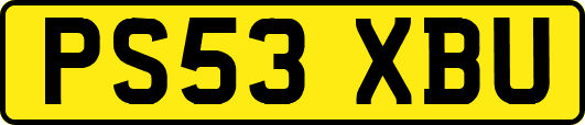 PS53XBU