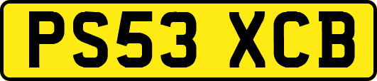 PS53XCB