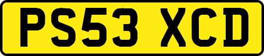PS53XCD
