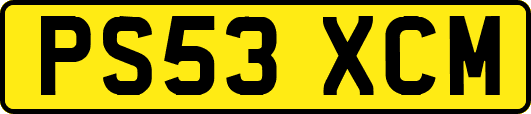 PS53XCM