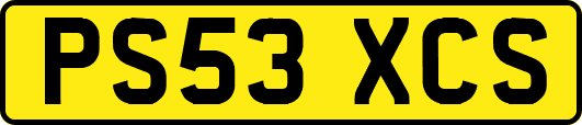 PS53XCS