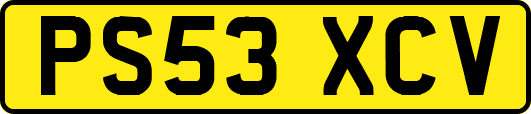 PS53XCV