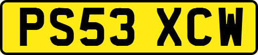 PS53XCW