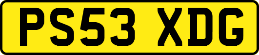 PS53XDG