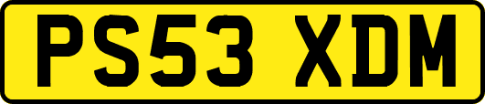 PS53XDM