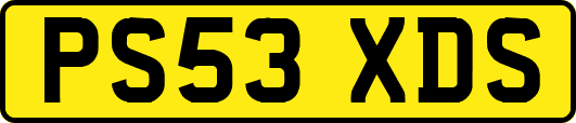 PS53XDS