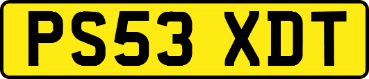 PS53XDT