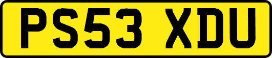 PS53XDU