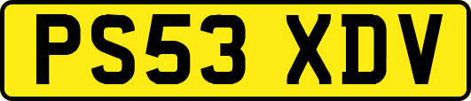 PS53XDV