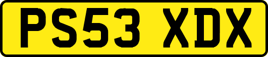PS53XDX