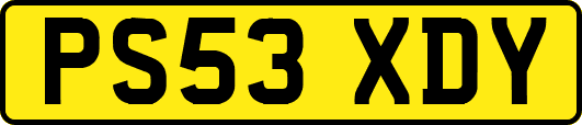 PS53XDY