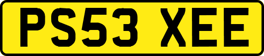 PS53XEE