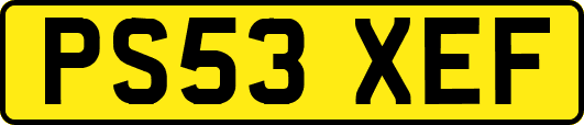 PS53XEF