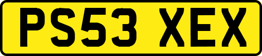 PS53XEX