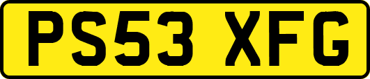 PS53XFG