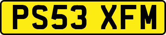PS53XFM