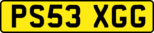 PS53XGG